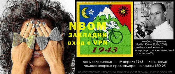твердый Кулебаки