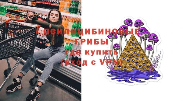 твердый Кулебаки