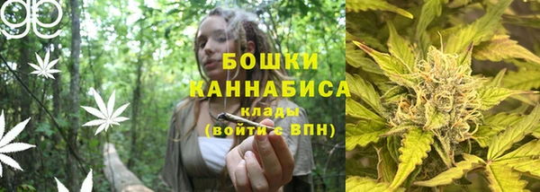 шишки Ладушкин