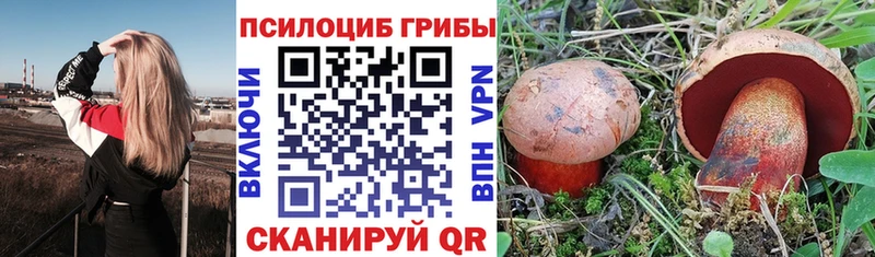 Галлюциногенные грибы мицелий  MEGA сайт  Кяхта  дарк нет клад  цены  